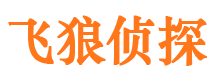 桓仁外遇调查取证